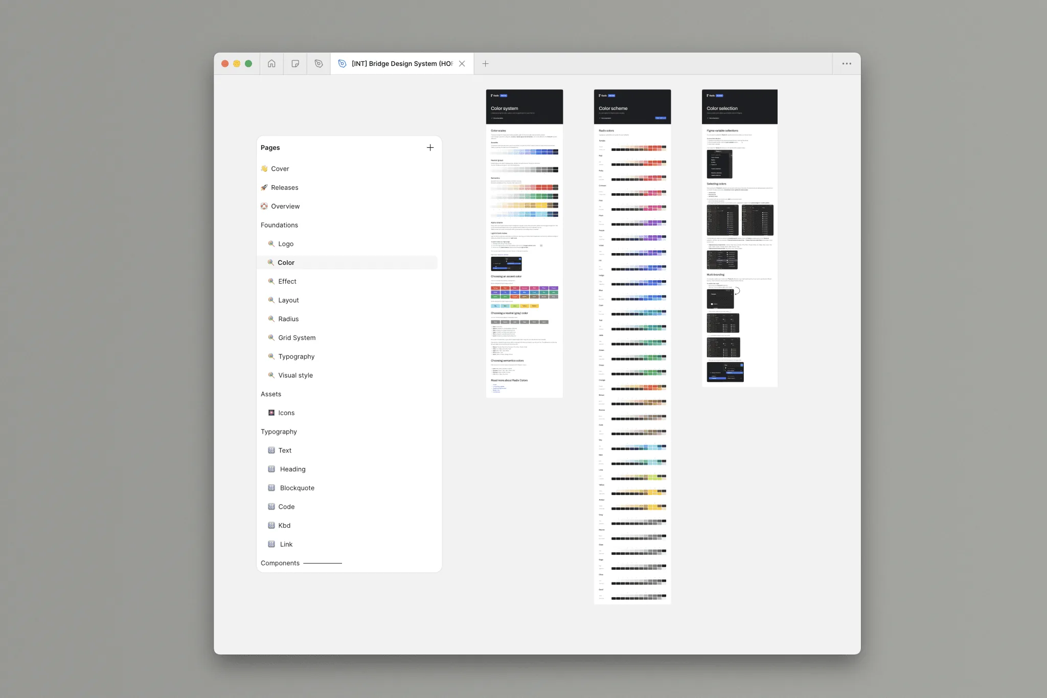 The Bridge design system showing colours and shared interface foundations